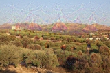 Deep Dream - Kreta nahe Kommos (4)